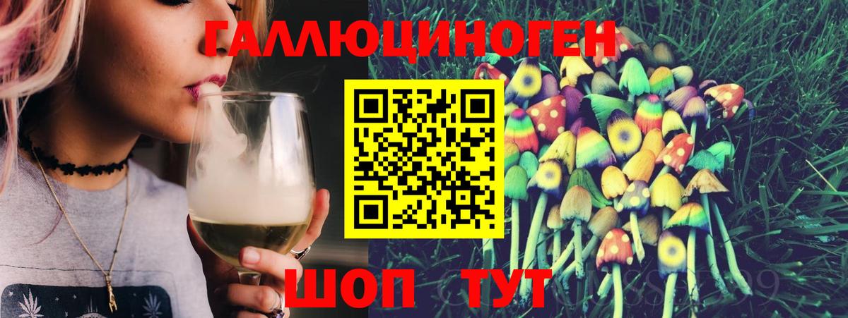 Галлюциногенные грибы Psilocybine cubensis Магнитогорск